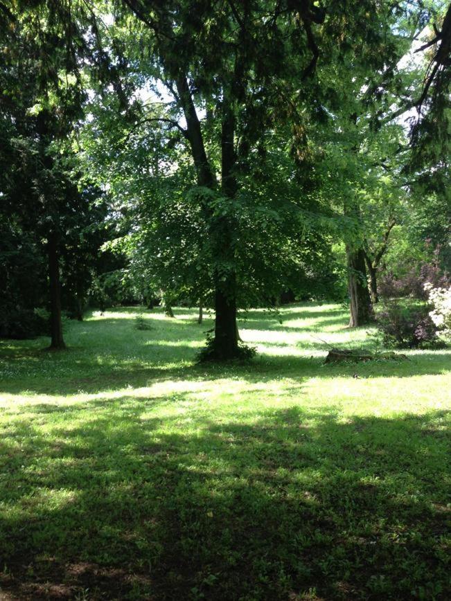 La Stanza Nel Bosco Bed & Breakfast Pavia Exterior foto